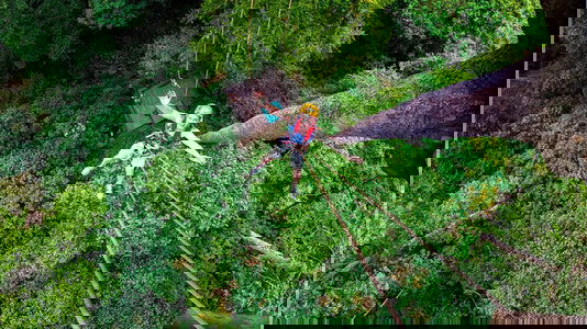 A Tour Like No Other