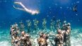 12 Day Bali Intro (Intro Travel)