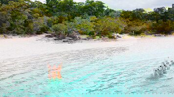 20 Day Oz East Coast Adventure & Work (Intro Travel)