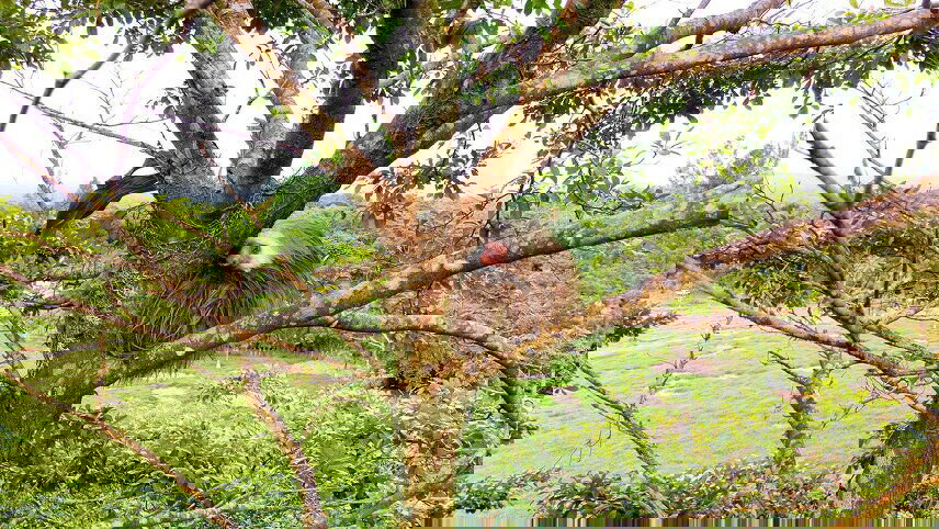 Costa Rica Adventure