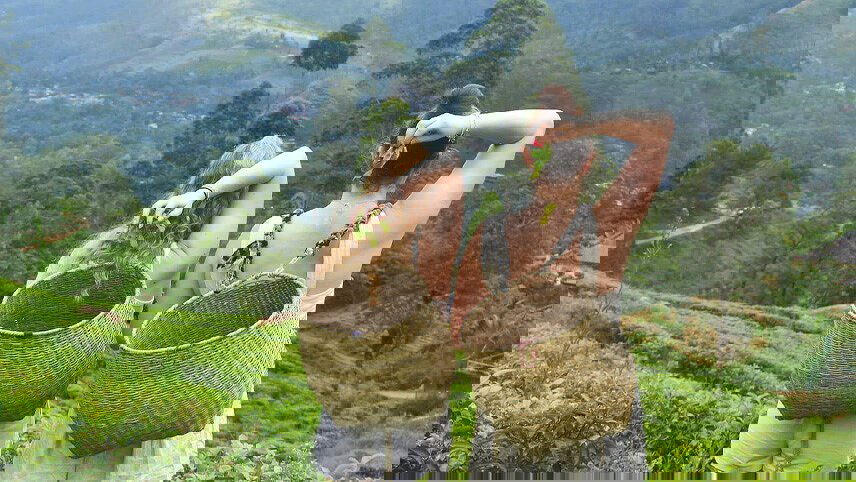 Sri Lanka Experience