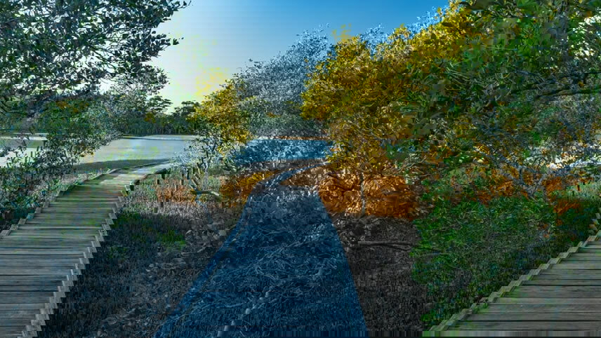 Great Southern - Adelaide To Brisbane