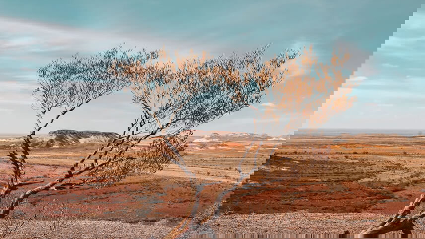 Discover Adelaide and Darwin Expedition