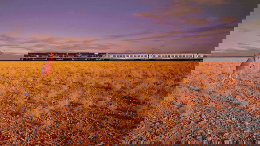 Journey Beyond Indian Pacific