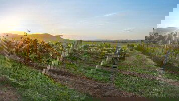 9 Day Adelaide and Brisbane City Stay (Journey Beyond)