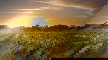 7 Day Adelaide City Stay Expedition (Journey Beyond)