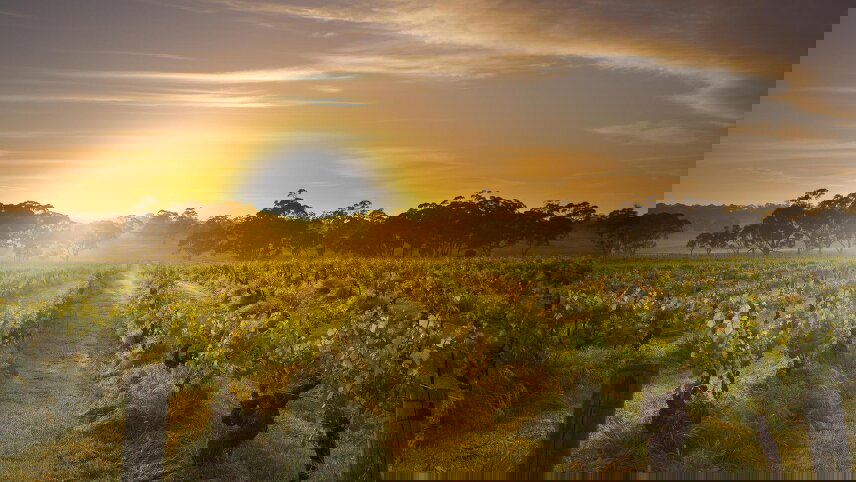 Adelaide City Stay Expedition