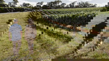 7 Day Adelaide City Stay (Journey Beyond)