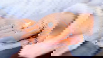 10 Day Perth and Sydney Luxury Stay (Journey Beyond)