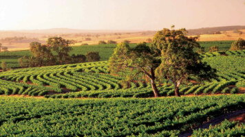 6 Day Adelaide Luxury Stay (Journey Beyond)