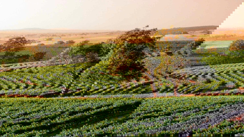 Adelaide Luxury Stay