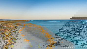 10 Day Perth and Ningaloo Reef Escape (Journey Beyond)