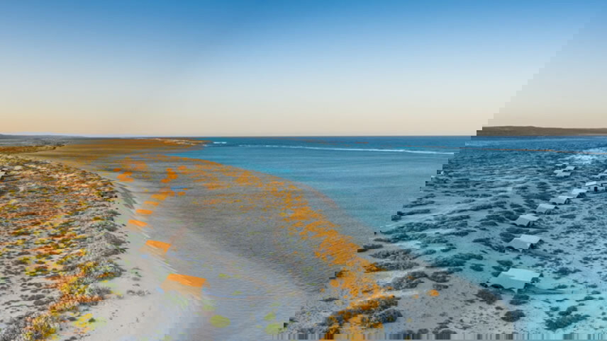 Perth and Ningaloo Reef Escape