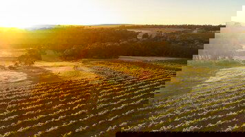 9 Day Margaret River Indulgence (Journey Beyond)
