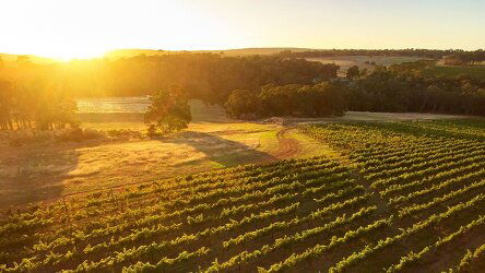 9 Day Margaret River Indulgence (Journey Beyond)