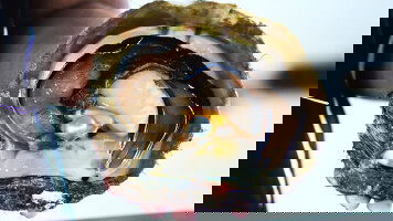 7 Day Perth Luxury Stay (Journey Beyond)