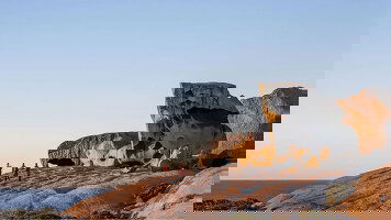 10 Day Southern Wine and Wildlife (Journey Beyond)