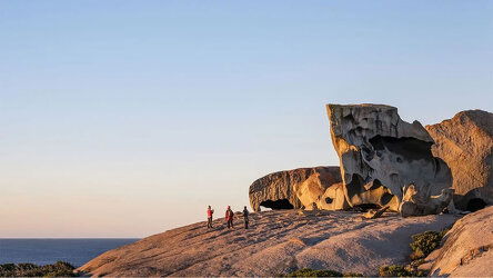 10 Day Southern Wine and Wildlife (Journey Beyond)