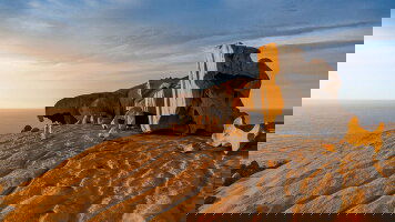 10 Day Barossa & Kangaroo Island Escape (Journey Beyond)