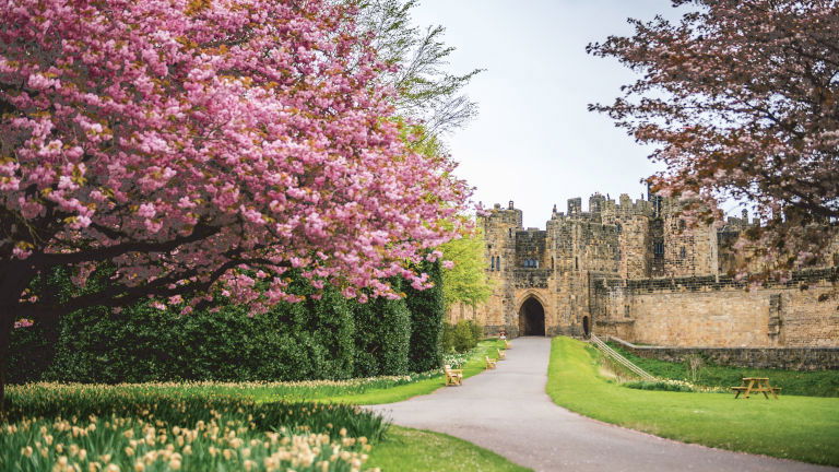 The Day I Met the Duchess of Northumberland