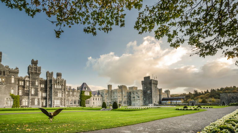 Luxury Gold, Ireland