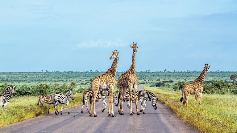 Spectacular South Africa with Victoria Falls