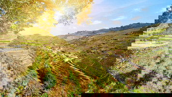 11 Day Ultimate Portugal (Luxury Gold)