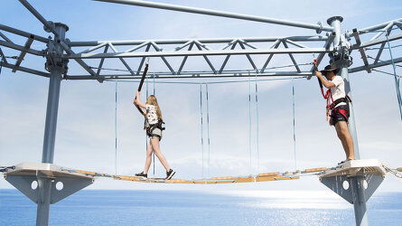 The Himalayan Bridge