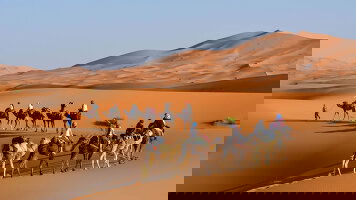 9 Day Morocco Meteor Shower (On The Go Tours)