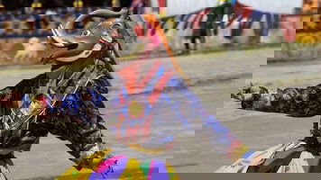 8 Day Thimphu Festival (On The Go Tours)