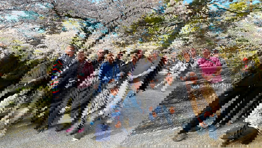 Cherry Blossom Festival