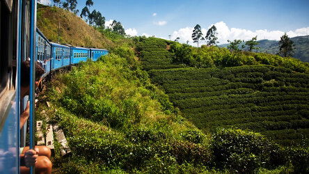 8 Day Colombo, Caves & Kandy (On The Go Tours)