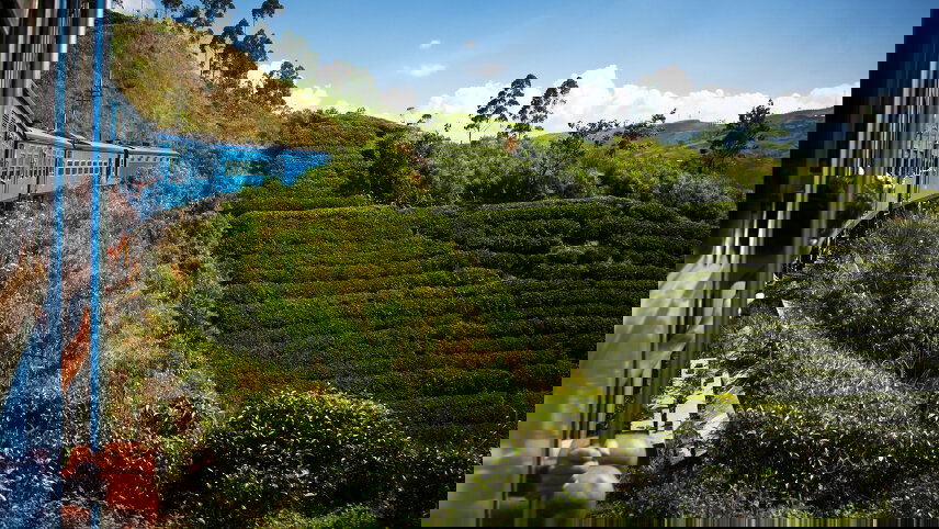 Colombo, Caves & Kandy