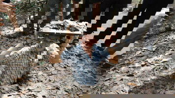 9 Day Best of Vietnam for Teenagers (On The Go Tours)