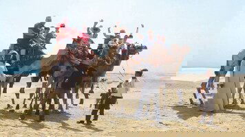 8 Day Egyptian Express for Families (On The Go Tours)