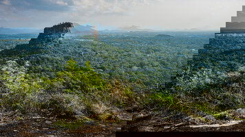 13 Day Wild Sri Lanka & Beach for Families (On The Go Tours)