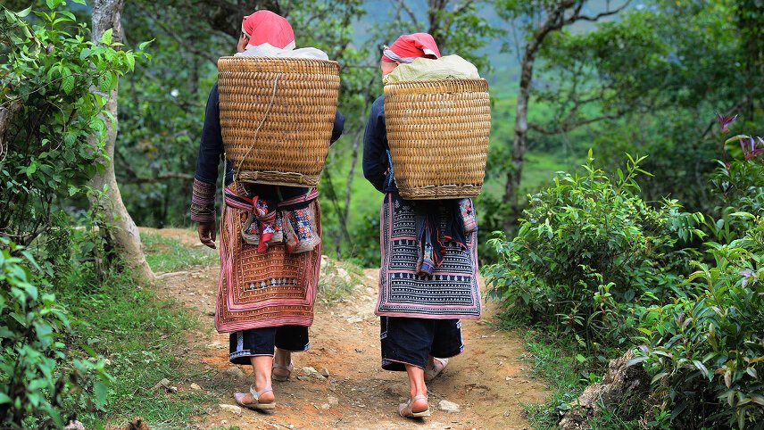 Hill Tribes, Halong Bay & Beyond
