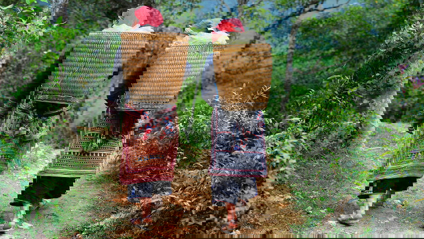 Hill Tribes, Halong Bay & Beyond