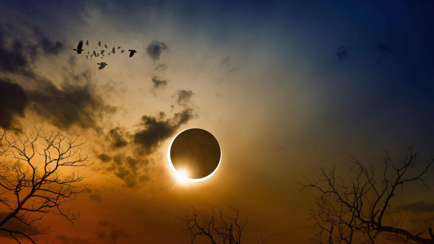 Magical Morocco from Tangier & Eclipse