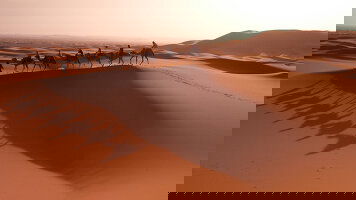 11 Day New Year's in Morocco (On The Go Tours)