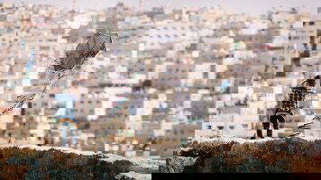 6 Day Passage to Petra (On The Go Tours)