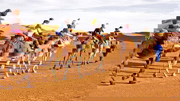 11 Day Road to Casablanca with Chefchaouen (On The Go Tours)