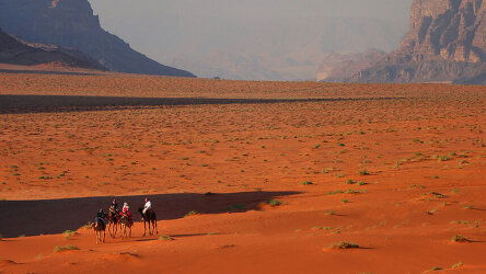 11 Day Road to Jerusalem (On The Go Tours)