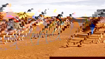 9 Day Totally Morocco (On The Go Tours)