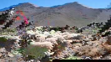 8 Day Christmas in Morocco (On The Go Tours)