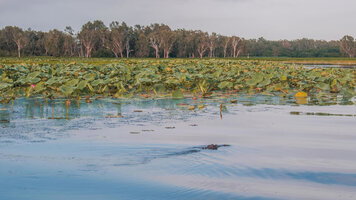 3 Day Simply Kakadu (Outback Spirit)