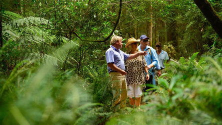 Expert Drivers & Guides