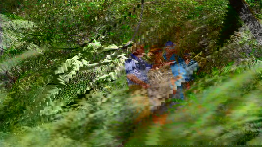 Small Groups. A Better Experience