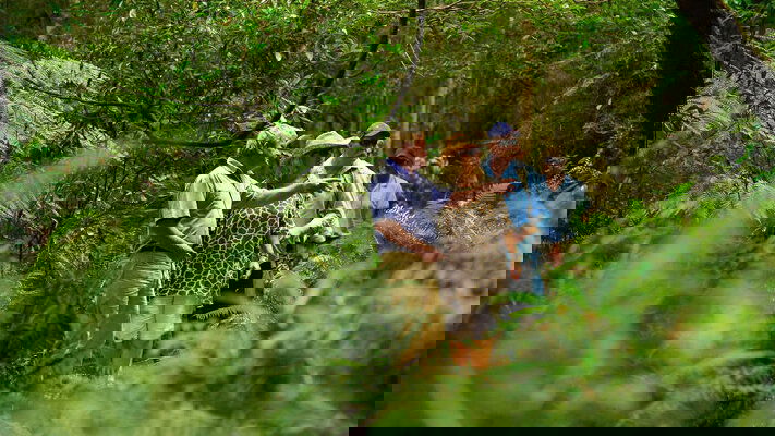 Small Groups. A Better Experience