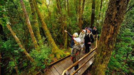 Inclusive Small Group Adventures